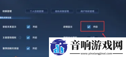 王者荣耀战绩怎么隐藏