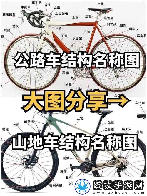 极速骑行新手入门全攻略视频解说详细解析