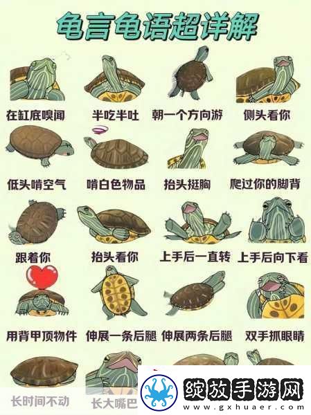 车辆颠簸后滑进去的应急措施