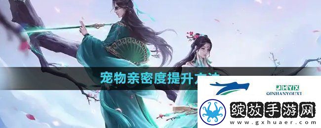 问道手游宠物亲密度怎么提升宠物亲密度提升方法