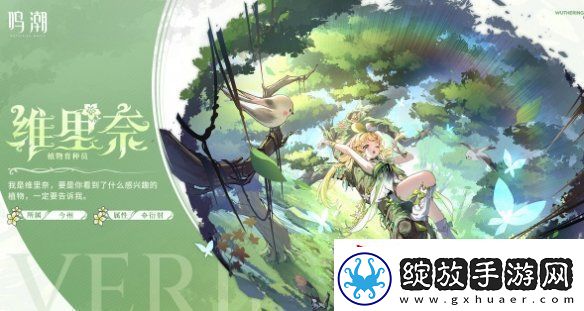 鸣潮椿主c配队推荐