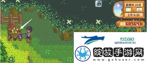 星露谷物语蕨菜怎么获取