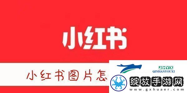 小红书图片无水印保存方法小红书图片怎么去水印保存