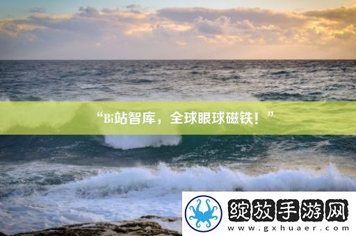 “Bi站智库
