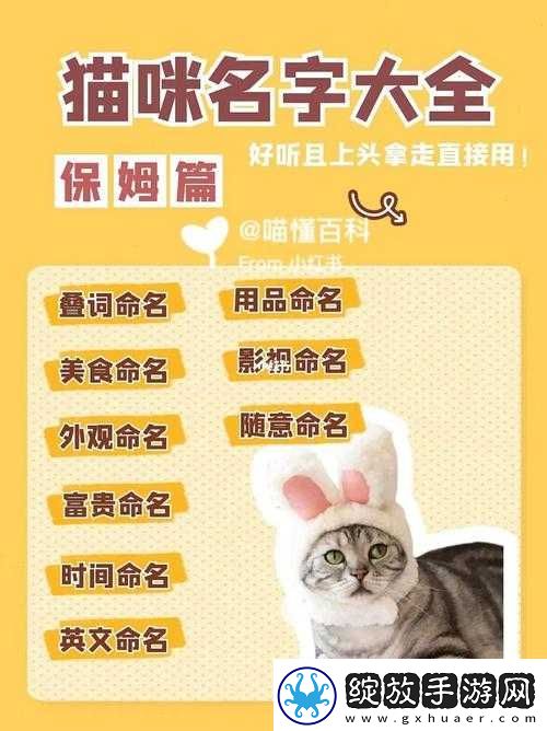 小师妹新公布宠物名