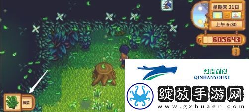 星露谷物语蕨菜怎么获取
