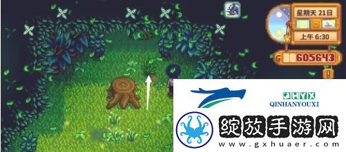 星露谷物语蕨菜怎么获取