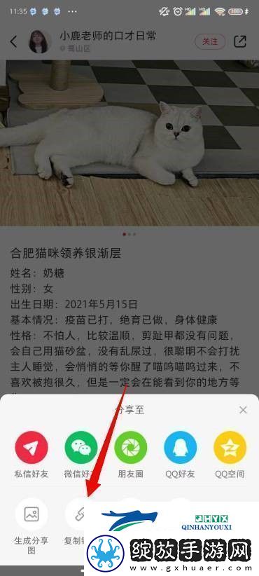 小红书图片无水印保存方法小红书图片怎么去水印保存