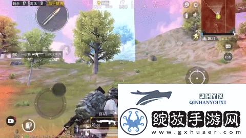 和平精英圣域宝箱在哪里