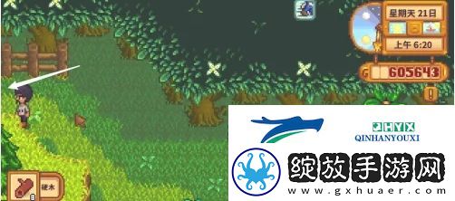 星露谷物语蕨菜怎么获取