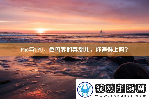 PA6与TPU