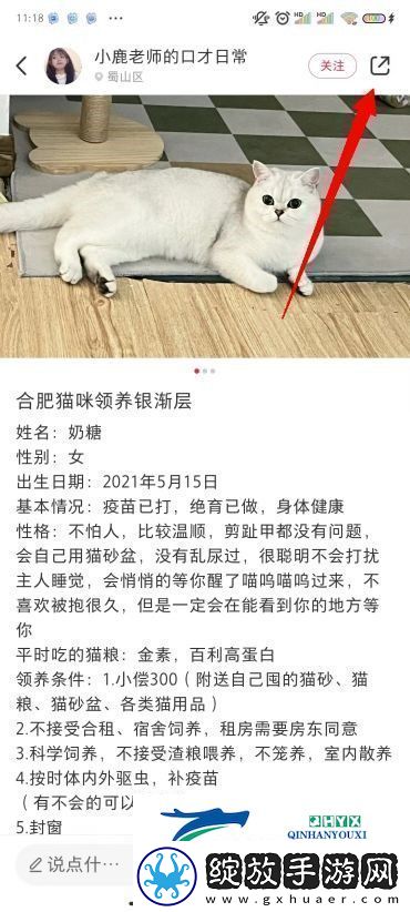 小红书图片无水印保存方法小红书图片怎么去水印保存