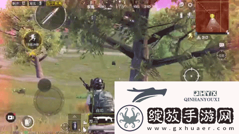 和平精英圣域宝箱在哪里
