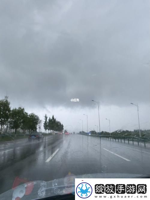 “暴雨中与讨厌主管出差的科技新宠儿