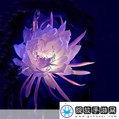 女性莲花开症状图片