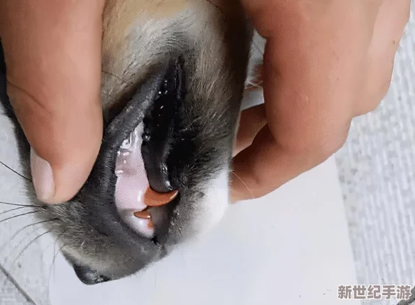 男人扒开女人腿使劲桶动态图引发热议