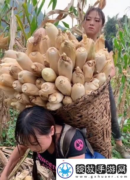 农夫“果儿”奇遇记