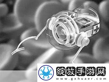 无人区编码6229大观天下事