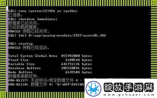 Oracle备份与恢复