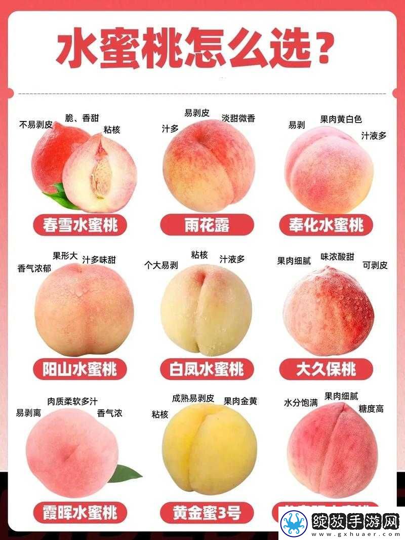日本