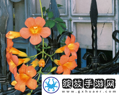 情断缘尽的伤感句子缘分已尽的忧伤短句