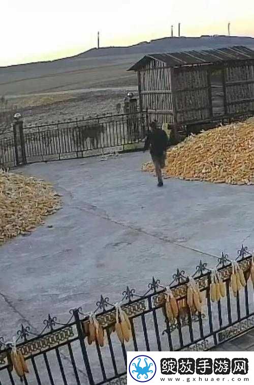 东北