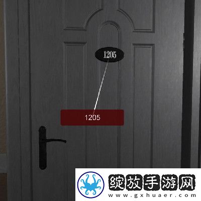 孙美琪疑案袁家宾馆1205