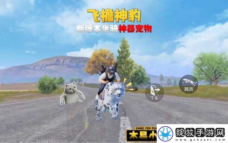 和平精英