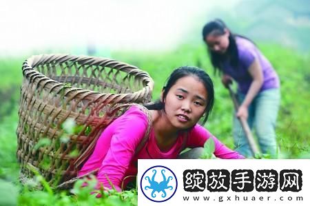 编程奶爸的萌新之路