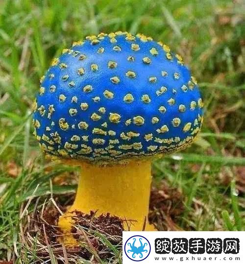 蘑菇mogula笑不活了科技圈新晋“红”的这点事！