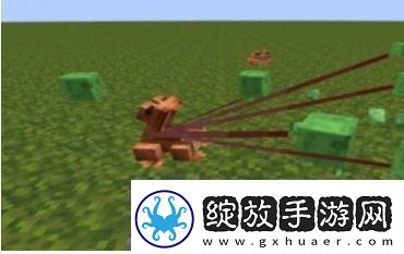 我的世界青蛙有什么用