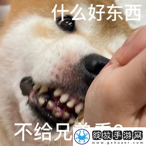 啊你他**别舔了