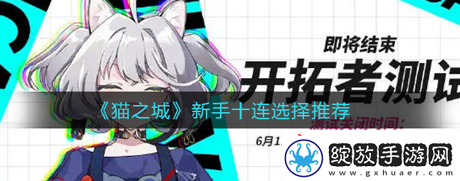 猫之城新手十连怎么选择