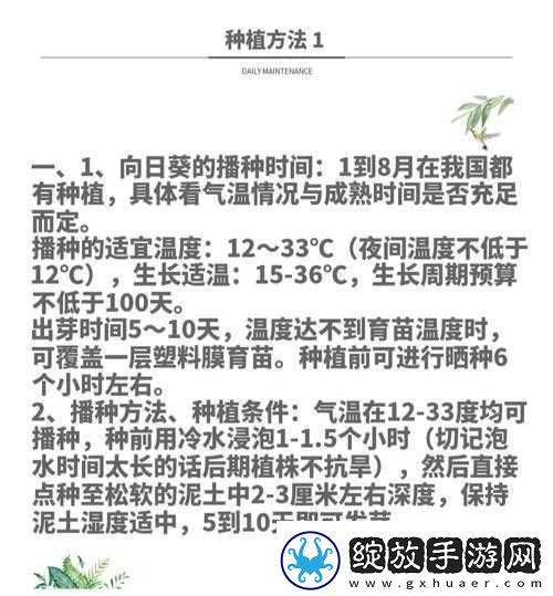 珊瑚岛霸王花的获取指南