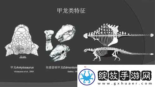 探寻神秘的甲龙起源