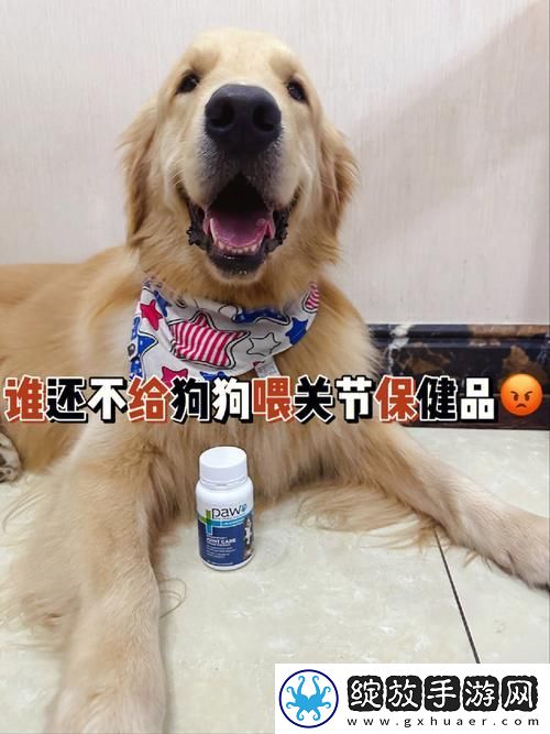 狗和人胶配方20分钟