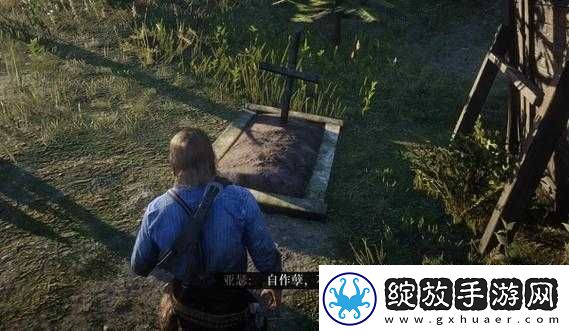 荒野大镖客大妈视频