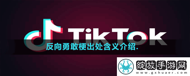 反向勇敢是什么梗