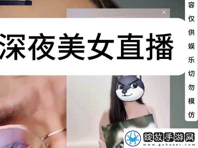 台湾深夜直播