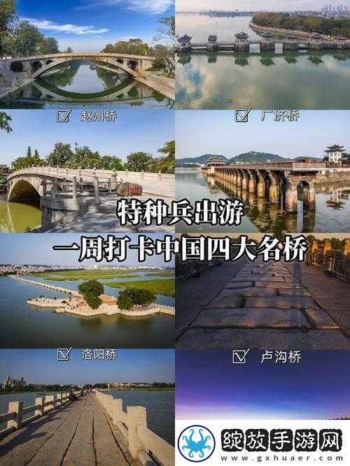 视频通话软件