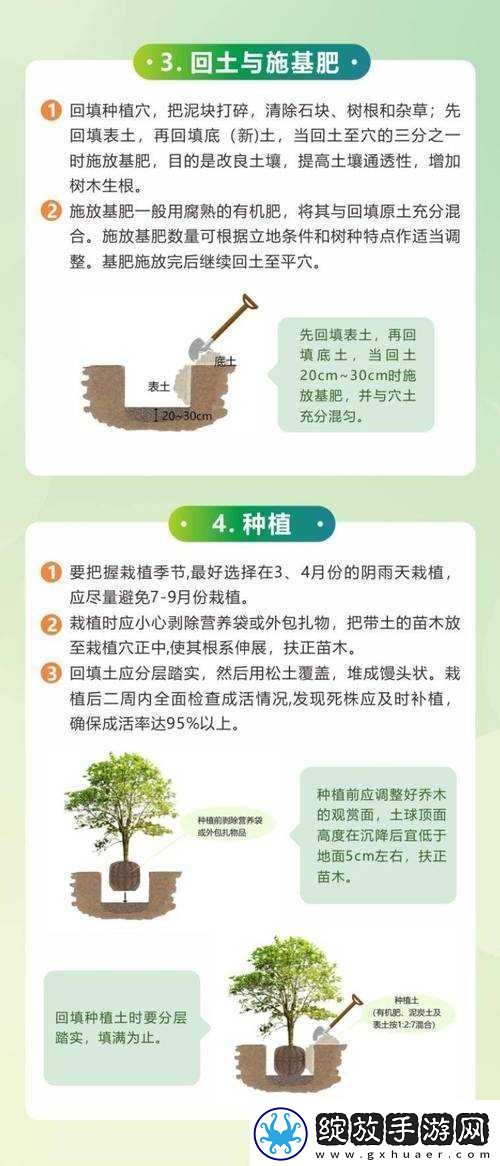 老农种树经验分享