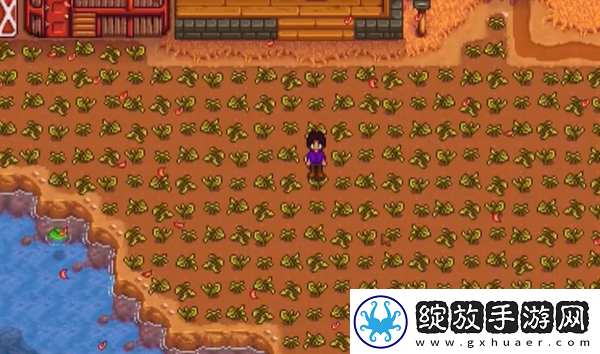 【限时兑换】星露谷物语春天怎么保地