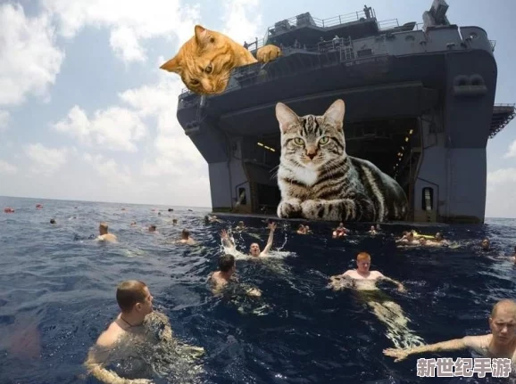 猫咪5.0