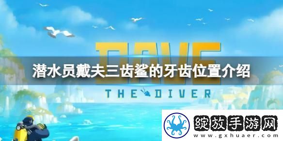 潜水员戴夫三齿鲨的牙齿在哪