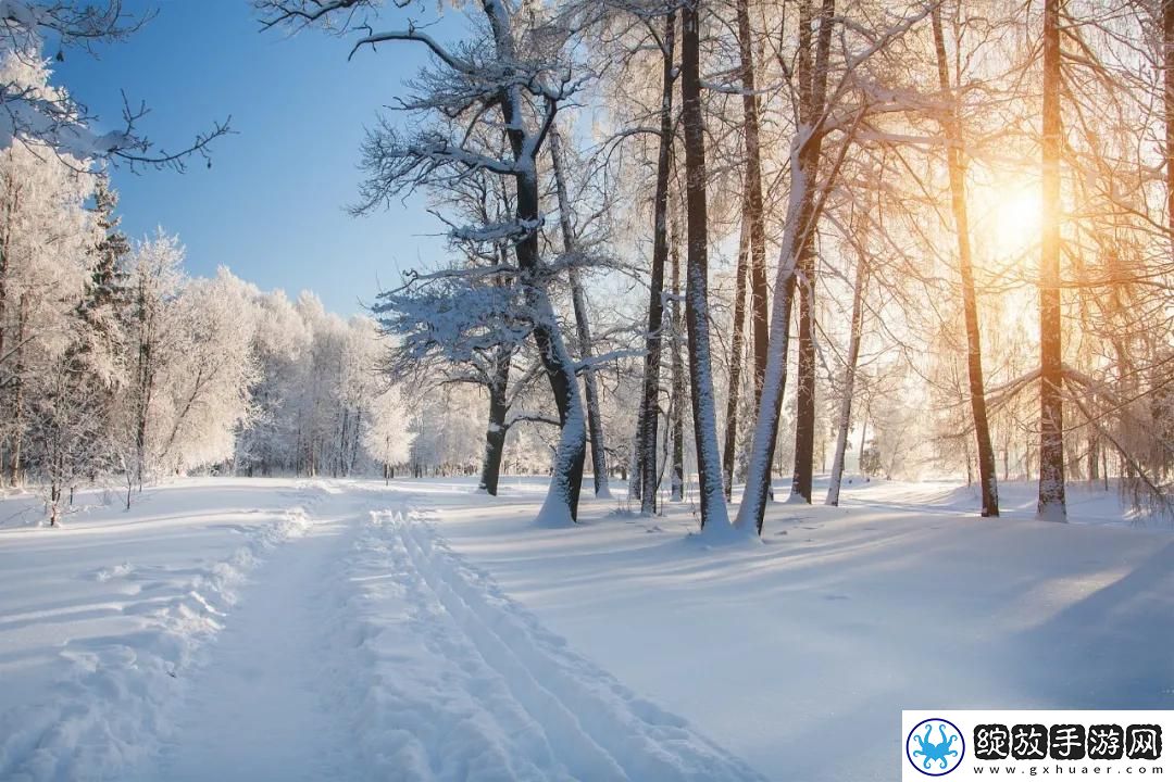 奇迹暖暖风雪终息高分搭配攻略