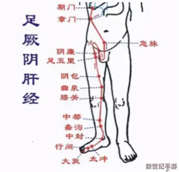 办公室强肝最后谁最厉害
