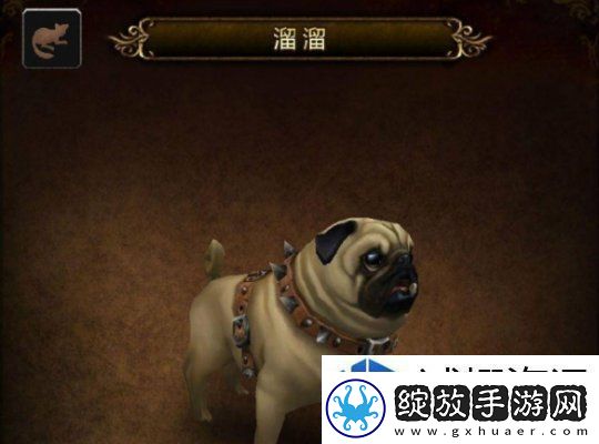 魔兽世界溜溜宠物获取攻略