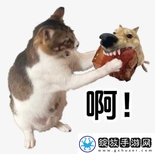 太子宠妾高肉红烧肉包讲的什么