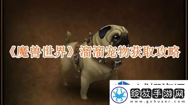 魔兽世界溜溜宠物获取攻略