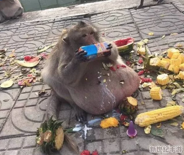 两个人生猴子的全过程不盖被子